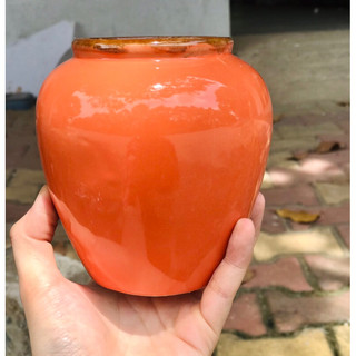 chum lu mini uống nước
