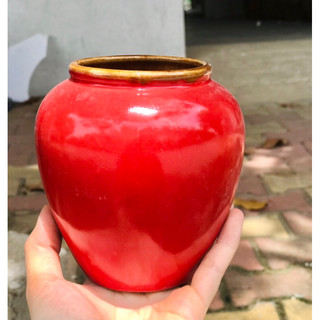 chum lu mini uống nước