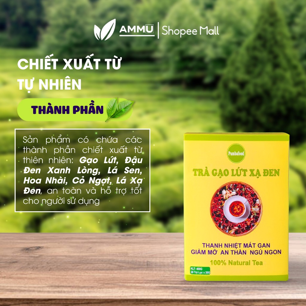 Trà Gạo Lứt xạ đen Pumbafood, Đậu Đen xanh lòng, Hoa Nhài, Cỏ Ngọt, xạ đen Hộp 20 Túi Lọc