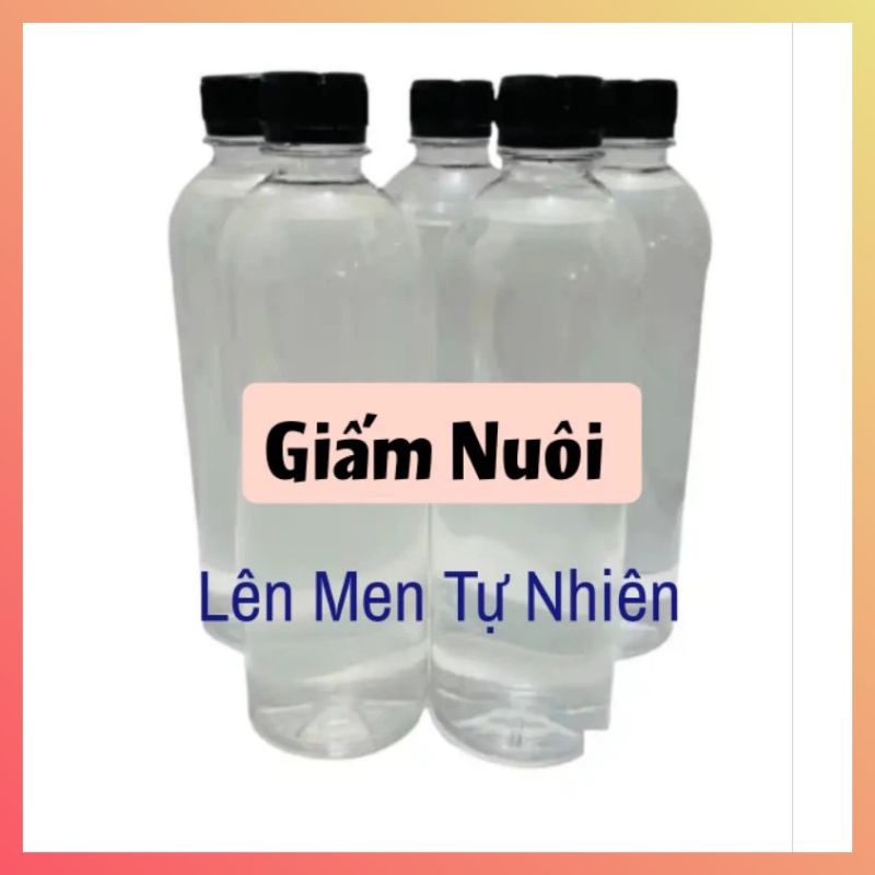 Giấm Chuối - giấm gạo lên men tự nhiên 1 Lít