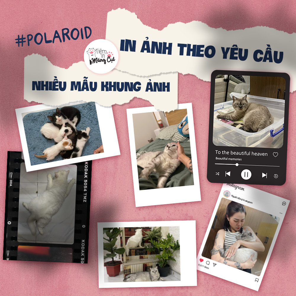 In Ảnh Polaroid 6x9 Theo Yêu Cầu, Chỉnh Ảnh Miễn Phí