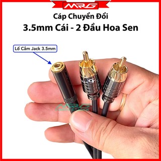 Dây 3.5 cái ra 2 đầu av hoa sen, dài 50cm .