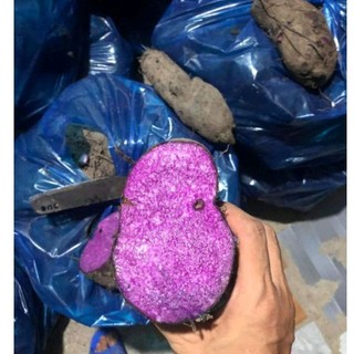 Khoai mỡ tím-1kg ú nu mới nhổ