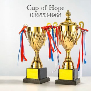 In ấn theo yêu cầu cúp vàng c-010-021 kỷ niệm chương lưu niệm bóng đá thể thao cup pha lê cờ giá rẻ xịn huy chương