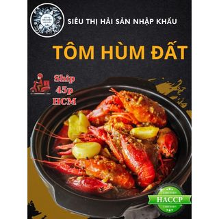  HỎA TỐC - TÔM HÙM ĐẤT NGUYÊN CON - ĐỦ SIZE 