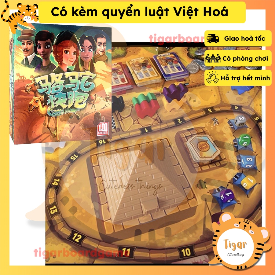 Boardgame Camel up 2nd edition Đua lạc đà