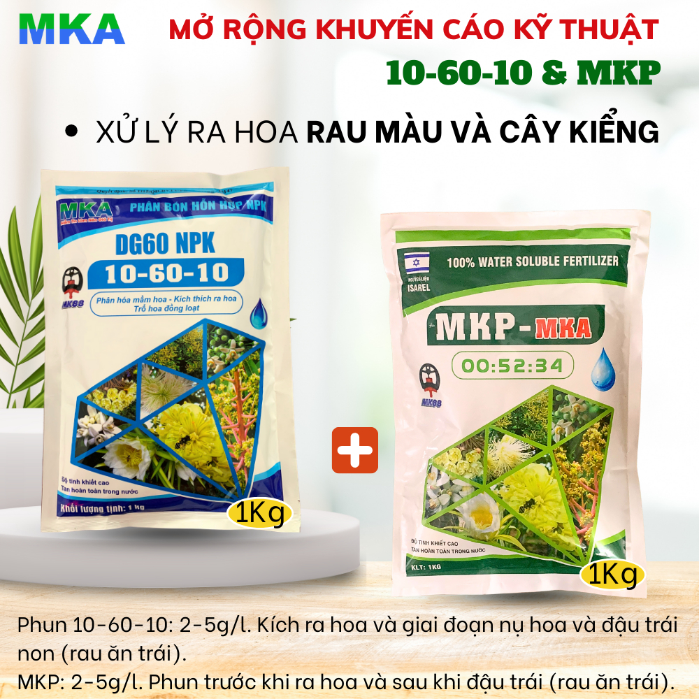 Bộ đôi chặn đọt tạo mầm MKP 0 52 34 và Lân cao 10-60-10 MKA Mekongagri gói 1kg