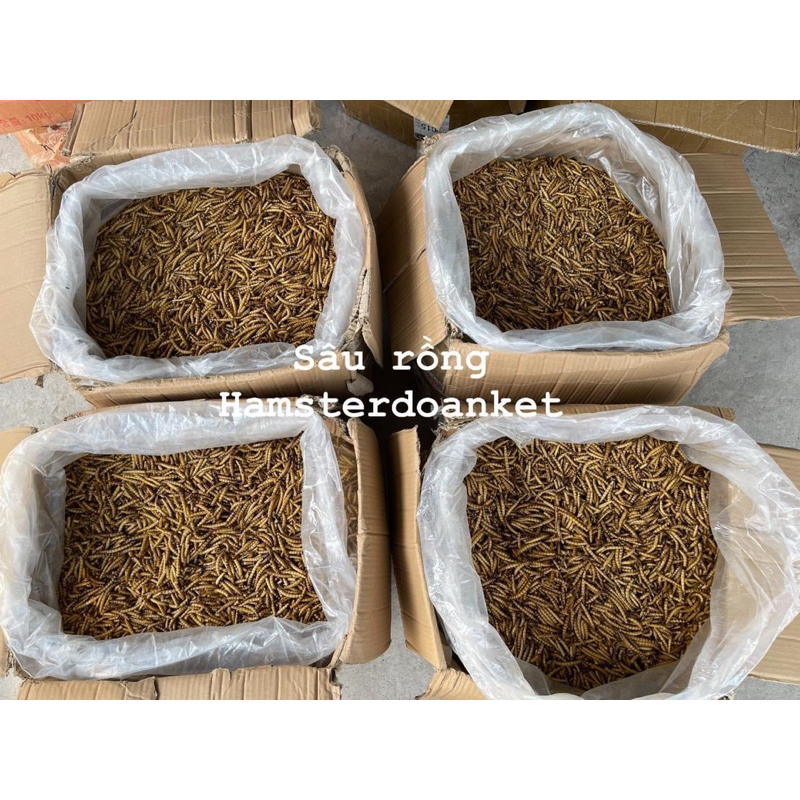 Sâu sấy khô 25gam không gia vị cho nhím kiểng, hamster
