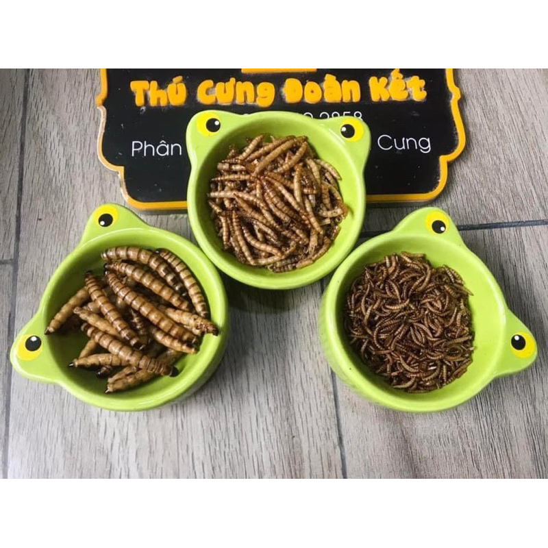 Sâu sấy khô 25gam không gia vị cho nhím kiểng, hamster