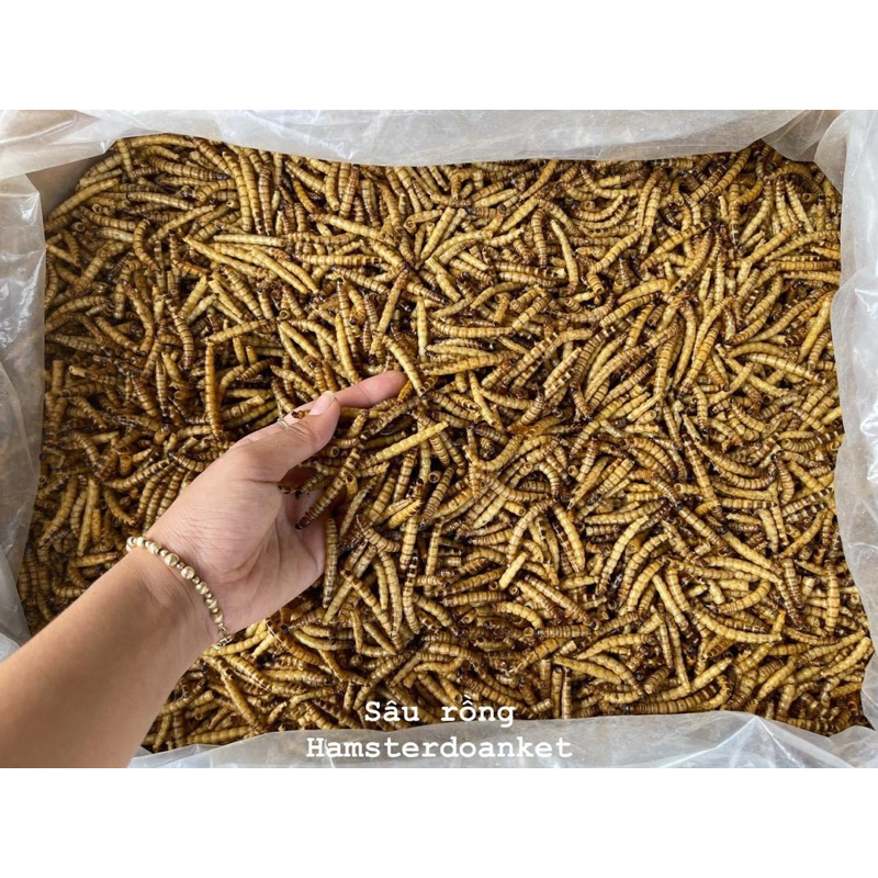Sâu sấy khô 25gam không gia vị cho nhím kiểng, hamster