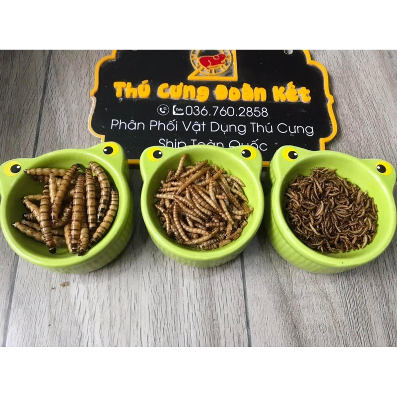 Sâu sấy khô 25gam không gia vị cho nhím kiểng, hamster