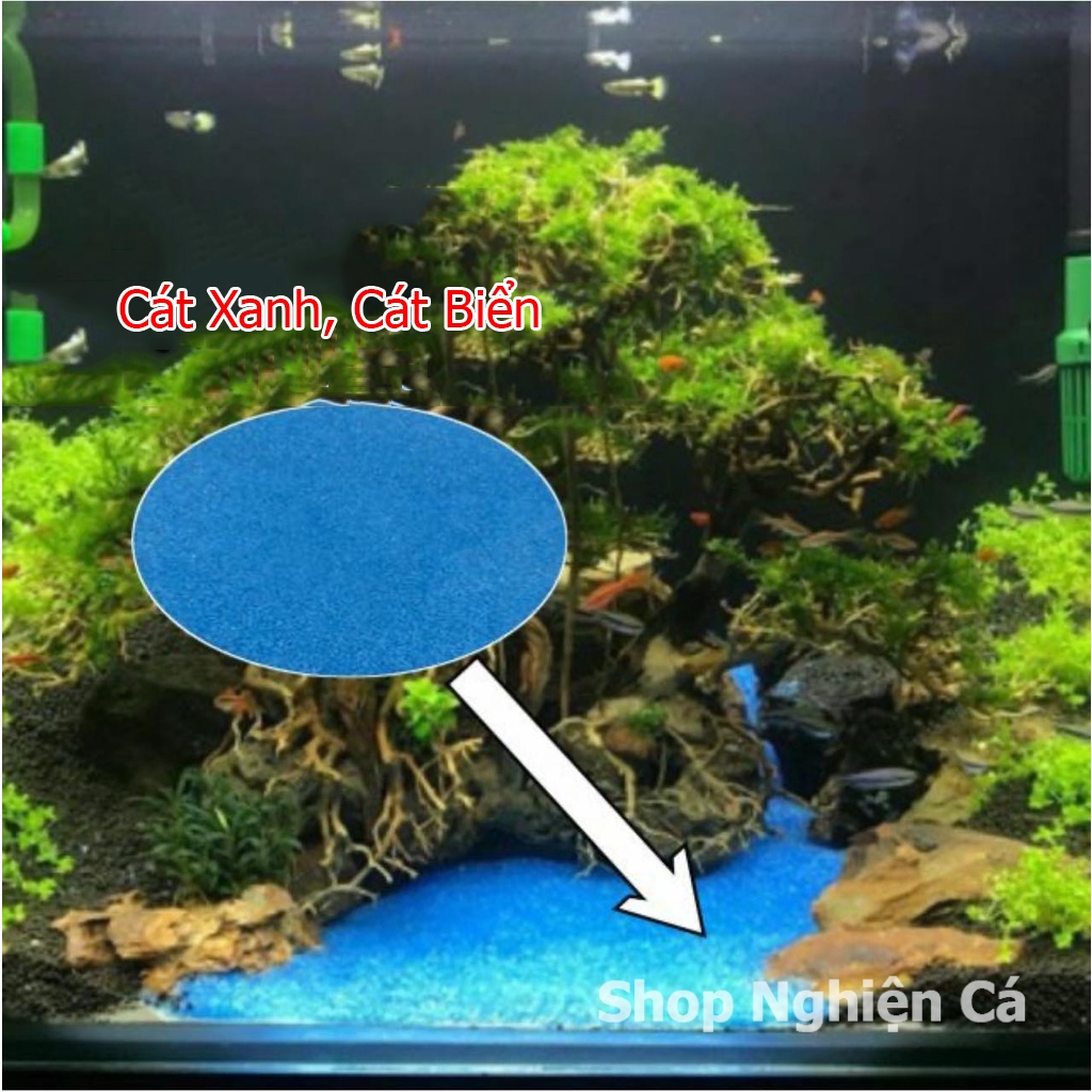 500g Cát Xanh Trang Trí Nền, Trải Nền Bể Cá Bể Thủy Sinh