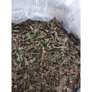 Giảo cổ lam 7 lá