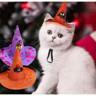 Mũ Halloween có dây điều chỉnh cho chó mèo nhỏ Sâu Petshop