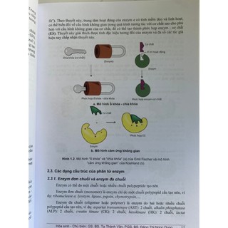 Sách - Hóa sinh 2025 ( dành cho bác sĩ đa khoa)