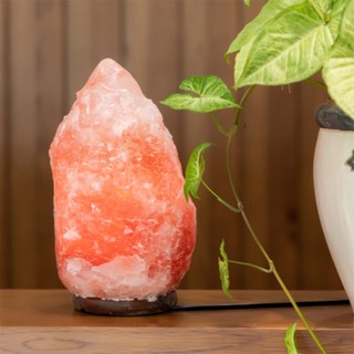 Bóng đèn E14 cho tủ lạnh, đèn đá muối (khách lưu ý trước khi đặt là e12 hay e14)