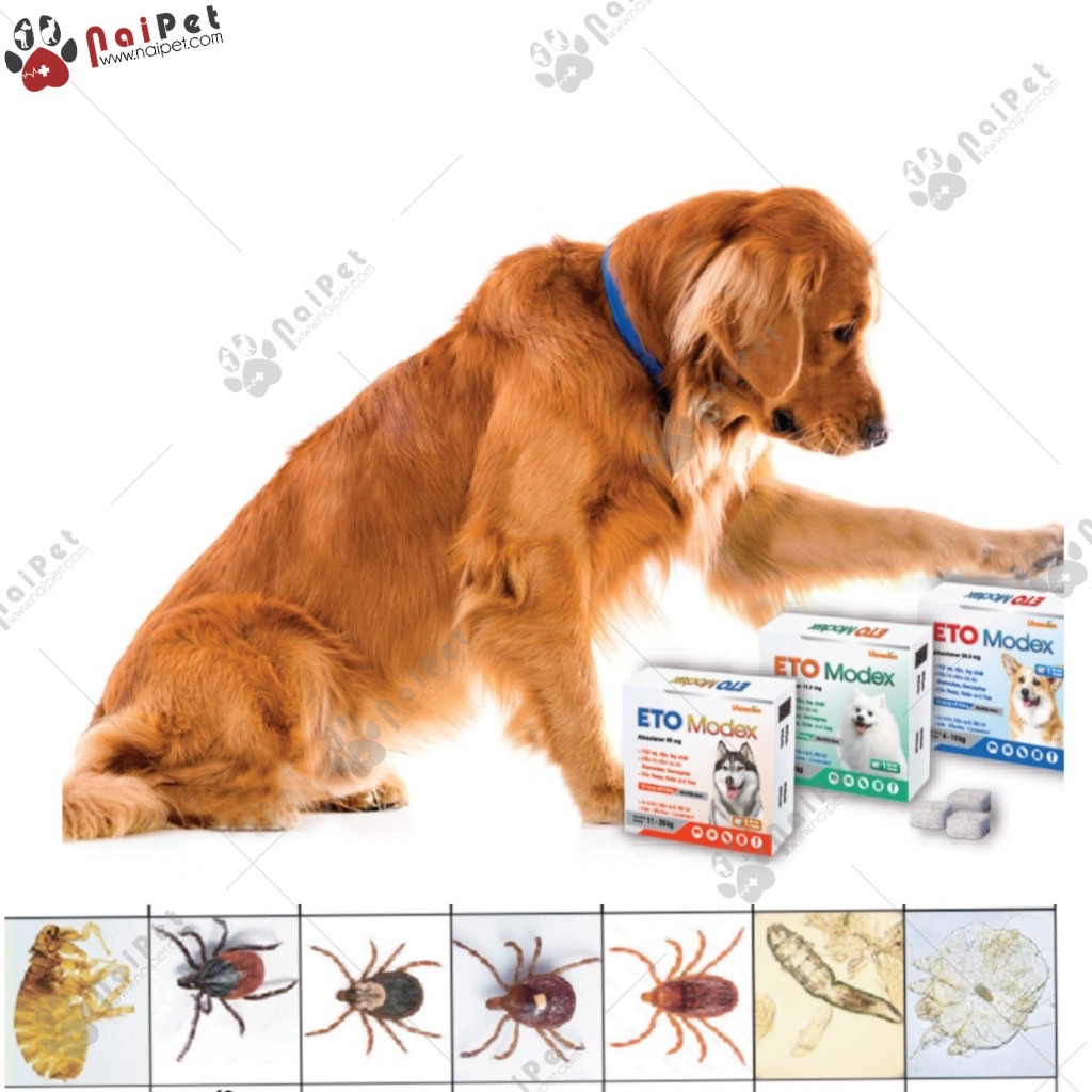 Viên Nhai Ghẻ Viêm Da Có Mủ Bọ Chét Ve Rận Demodex Và Các Loại Ký Sinh Trùng Khác Trên Chó Eto Modex Vemedim