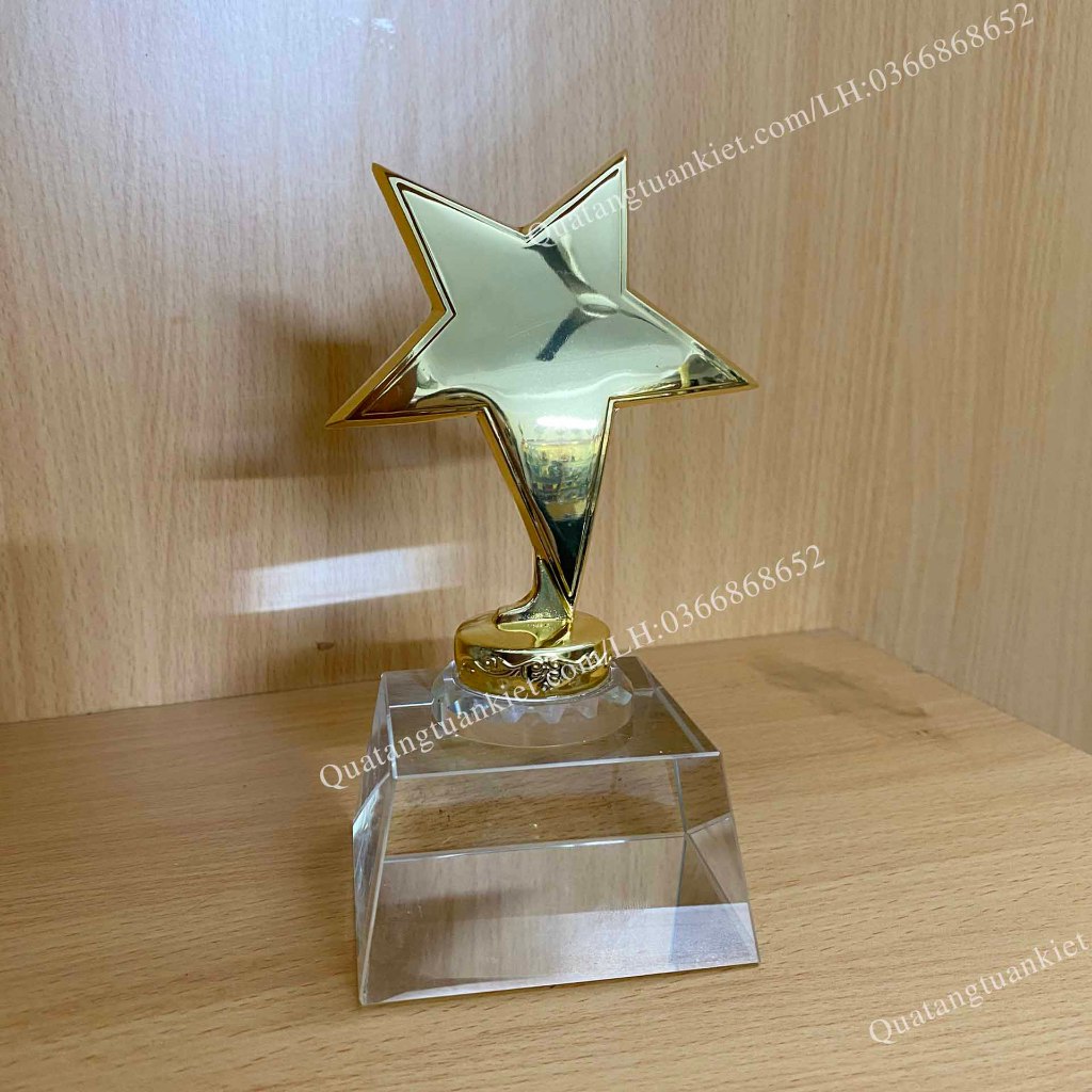 Cúp Pha Lê Sao Đơn Mạ Vàng