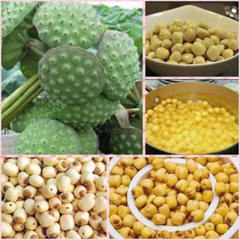 hạt sen khô 500g - 1kg