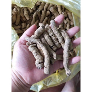 Ba kích tím khô 100g - 200g - 300g