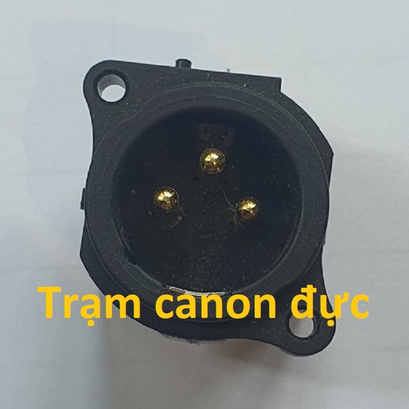 Jack Canon Âm - Canon âm Đực - Canon Âm cái - Jack loa âm