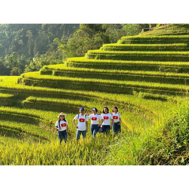 Áo cờ đỏ sao vàng Việt Nam chất cotton 100%,hàng loại 1 thấm hút mồ hôi đủ size từ 8-120kg