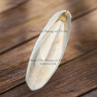 Nan Mực • Mai Mực nguyên miếng [hàng loại 1] dùng cho Chim Cảnh • Sóc • Rùa..