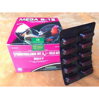 mega b12 Vitamin cho chiến kê