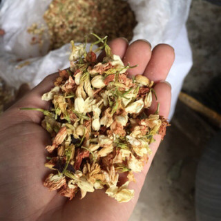 Trà hoa nhài 100g - 200g - 300g