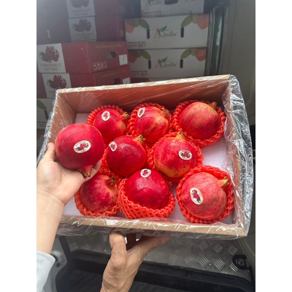 Lựu Thái V.I.P => HÀNG MỚI VỀ "thanhfruittraicaynhapkhauQ12"