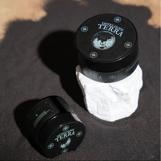 [ CHÍNH HÃNG ] Sáp vuốt tóc Develhope Terra