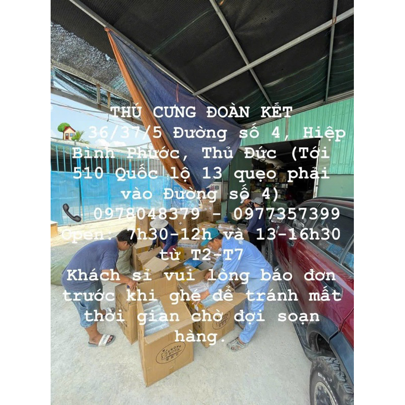 Hộp nhựa vận chuyển trong suốt - Hộp nhựa trong hamster