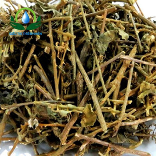 Cà gai leo 500g - 1kg