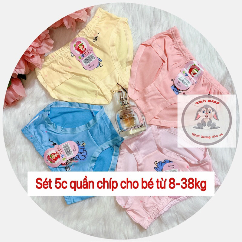 Sét 5 chiếc quần chíp cho bé từ 8-38kg, co giãn đàn hồi tốt, thoáng mát