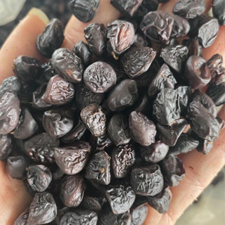 1kg hạt Dổi Tây Bắc- AnAn đặc sản Tây Bắc