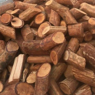 Thân cây mú từn 1kg - anan tay bac