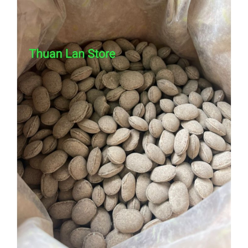 Phân Tan Chậm Hạt Bàng Nhật 12-6-6 Bón Lan, Bonsai Cây Cảnh gói 100g