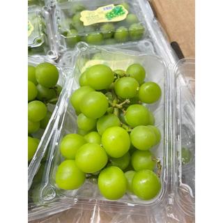 Nho sữa hộp 500gr giá dùng thử