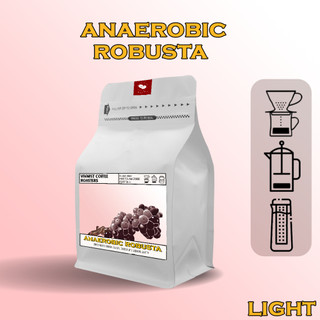 Cà phê đặc sản fine robusta anaerobic - pha cà phê ủ lạnh, pour over, v60