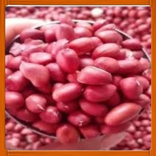 Lạc đỏ quê gói 200g/ 300g /500g