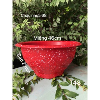Chậu nhựa truyền thống t48 trồng cây vân đá đỏ 46x23