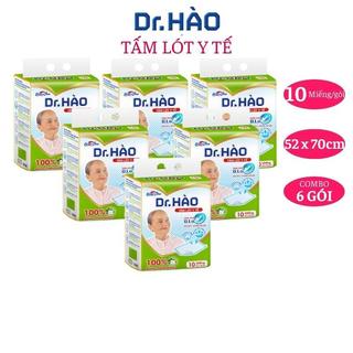 Tấm lót y tế enterone DRHAO gói 10 miếng {Combo 6 gói}