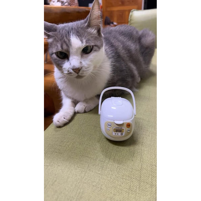 Mô hình nồi cơm mini nhựa full phụ kiện cho nhà búp bê