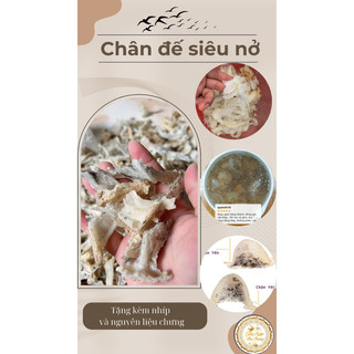 set chân đế yến thô nguyên chất[+🎁 táo đỏ, hạt chia,đường phèn]_ chân tổ yến siêu sạch