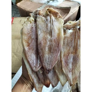 mực câu khô sz bé