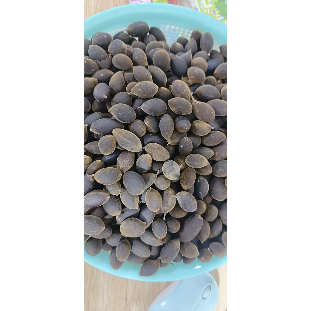 TRÁI SAY RỪNG TỰ NHIÊN CHUA NGỌT LINSUSHOP