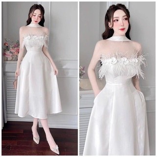 Đầm cup xoè đính lông vũ