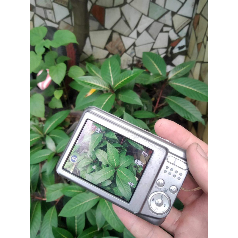 Máy ảnh digital siêu xinh Fujifilm FinePix AX600 màu ảnh vintage