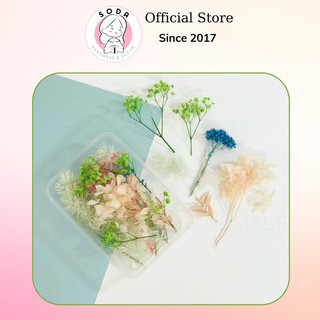 Hộp hoa khô hỗn hợp trang trí khung ảnh/Resin/Nến thơm