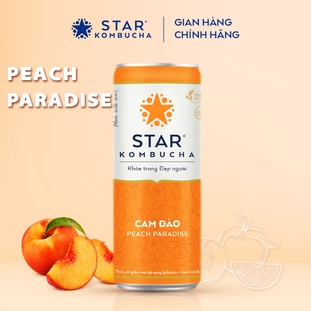 Combo 2 Lốc 4 lon trà STAR KOMBUCHA mix vị (250ml/lon)